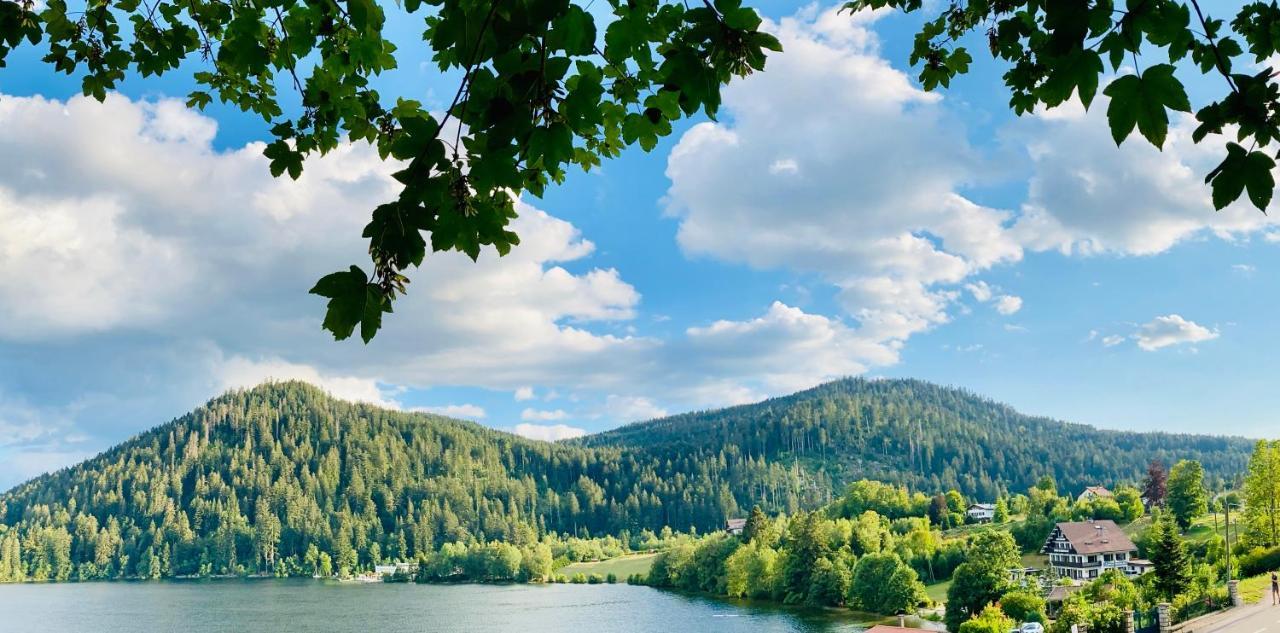 Le Chalet Au Bord Du Lac Gérardmer Zewnętrze zdjęcie